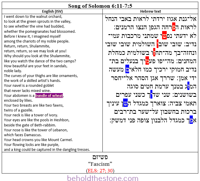Screenshot of a two-column table documenting the modern Hebrew Bible code in Song of Solomon 6:11-7:5. In the right-hand column the Hebrew text is shown with letters of the first encryption colored gold and highlighted red; and the letters of the second encryption colored gold and highlighted blue. In the left-handed column the English translation of the passage is supplied, with the line that is particularly relevant to the ELS code ("bundle of wheat") colored gold and highlighted purple.