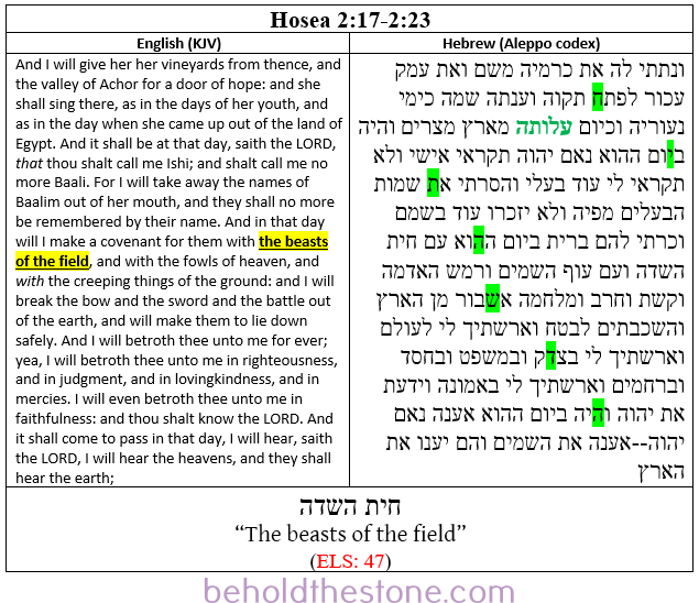 Two-column table showing the Hebrew text and English translation of Hosea 2:17-23 side by side. In the right-hand column the Hebrew text as exemplified in the Aleppo codex is shown; in the left-hand column the English translation (KJV) charted in the left-hand column. The Hebrew letters of a topically relevant ELS code are high-lighted in lime green, revealing the phrase "the beasts of the field" to be encrypted in the Hebrew text of this passage at an equidistant letter sequence of every 47 letters. The word with the contested spelling in the plain-text is colored green, indicating that it is spelled correctly in this particular Hebrew manuscript.