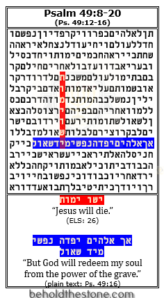 Screenshot of a simple Bible code in Psalm 49, as it appears in its original grid form. The table displays the Hebrew text of Psalm 49:8-20 divided into rows of 26 letters with no punctuation or spacing. The encoded Hebrew phrase (yeshu y'mut, meaning: "Jesus will die") can be seen running vertically up the grid slightly left of center, where it crosses with the line of topical correspondence at row 11 to form a unified cryptic prophecy concerning the resurrection of Jesus Christ.  